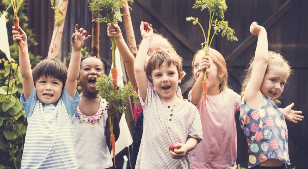 Group of Children Enjoying Holiday Camp Activities